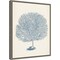 Antique Coral Collection I by Vision Studio 16-in. W x 20-in. H. Canvas Wall Art Print Framed in Grey